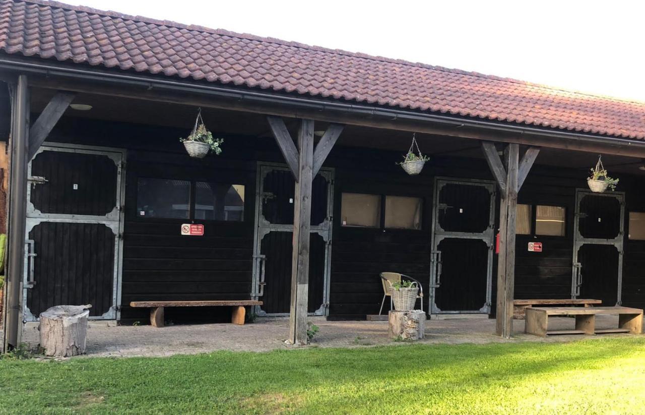 The Iceviking Village Zwaanshoek Exterior photo