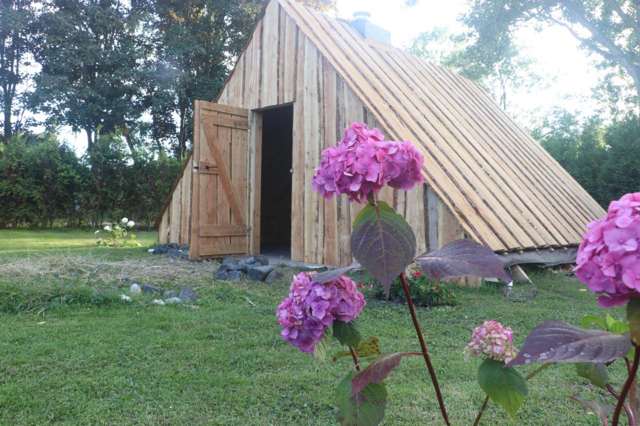 The Iceviking Village Zwaanshoek Exterior photo